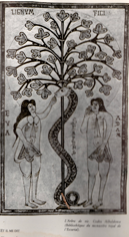 arbre de vie lignam